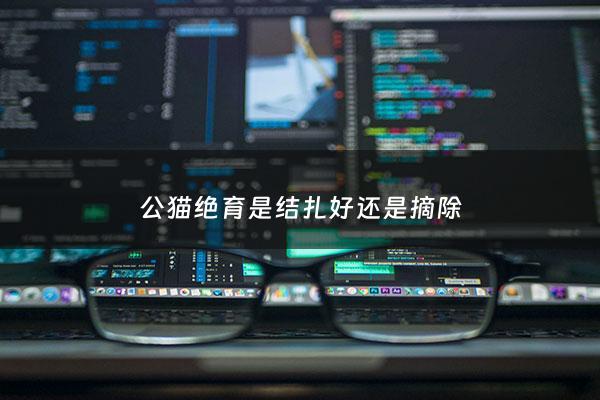 公猫绝育是结扎好还是摘除 - 公猫绝育是结扎还切掉