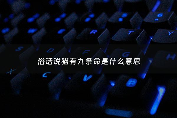 俗话说猫有九条命是什么意思 - 俗语说“猫有九条命”,这是真的