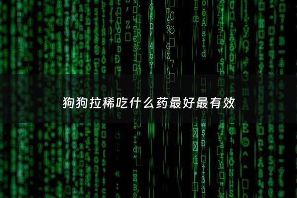狗狗拉稀吃什么药最好最有效 - 狗狗拉稀了吃什么药