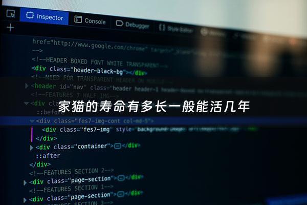 家猫的寿命有多长一般能活几年 - 普通家猫的寿命