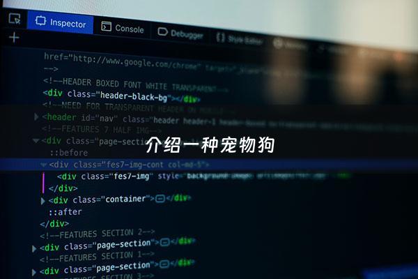 介绍一种宠物狗 - 介绍一种动物狗狗