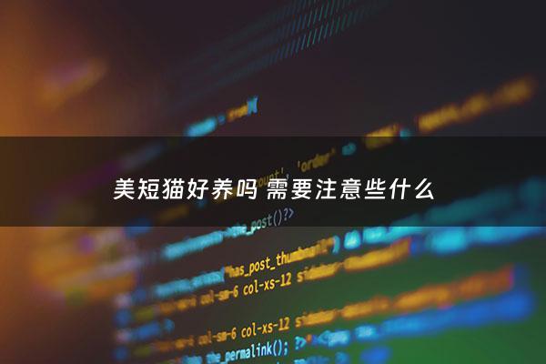 美短猫好养吗 需要注意些什么 - 美短猫好养吗,脾气大不大