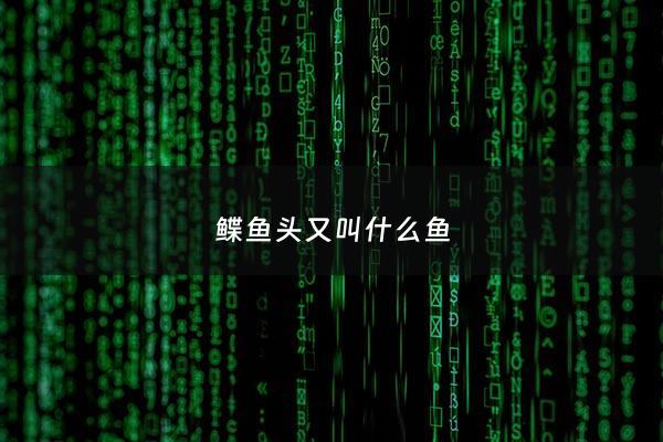 鲽鱼头又叫什么鱼 - 鲻鱼头是啥样
