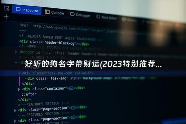 好听的狗名字带财运(2023特别***) - 狗名字比较旺财转运的