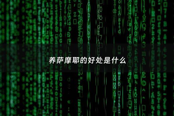 养萨摩耶的好处是什么 - 养萨摩耶的好处是什么呢