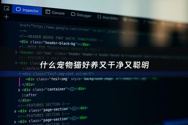 什么宠物猫好养又干净又聪明 - 什么宠物猫好养又干净还爱动