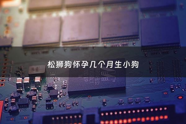 松狮狗怀孕几个月生小狗 - 松狮犬生产注意事项