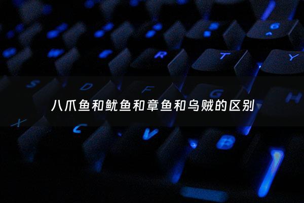 八爪鱼和鱿鱼和章鱼和乌贼的区别 - 八爪鱼和鱿鱼和章鱼和乌贼的区别在哪