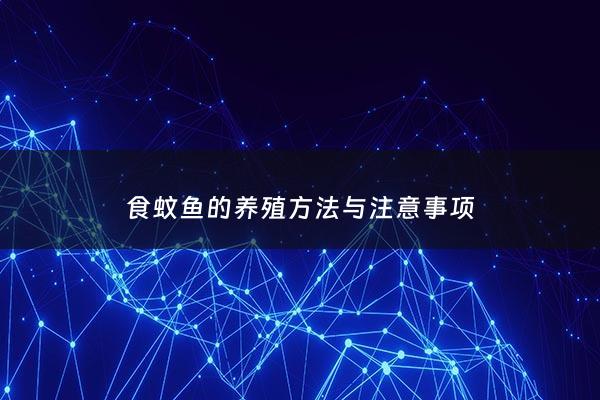 食蚊鱼的养殖***与注意事项 - 食蚊鱼百科