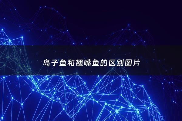 岛子鱼和翘嘴鱼的区别图片 - 岛子鱼叫什么