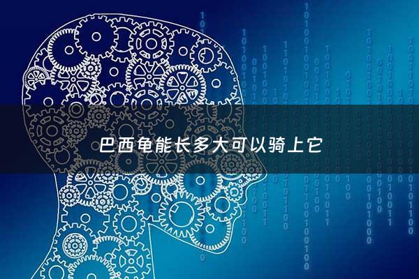 巴西龟能长多大可以骑上它 - 巴西龟最多长多大