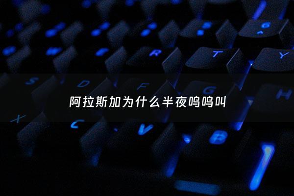 阿拉斯加为什么半夜呜呜叫 - 阿拉斯加一到晚上就叫