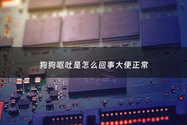 狗狗呕吐是怎么回事大便正常 - 狗狗呕吐频繁精神很好大便正常