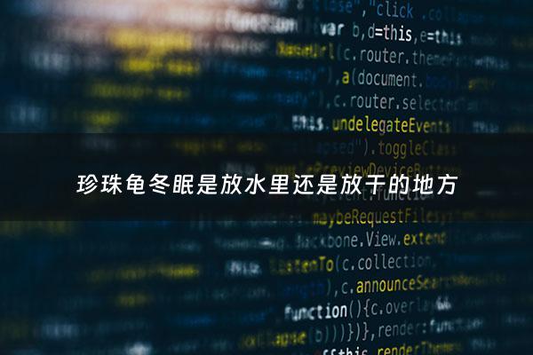 珍珠龟冬眠是放水里还是放干的地方 - 珍珠龟怎样过冬?