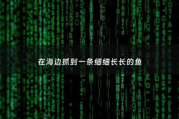 在海边抓到一条细细长长的鱼 - 海里抓的小鱼
