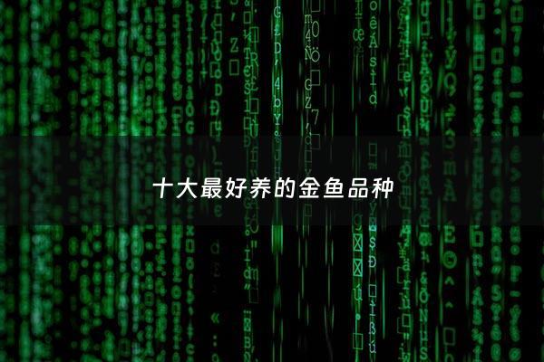 十大最好养的金鱼品种 - 十大最好养的金鱼品种有哪些