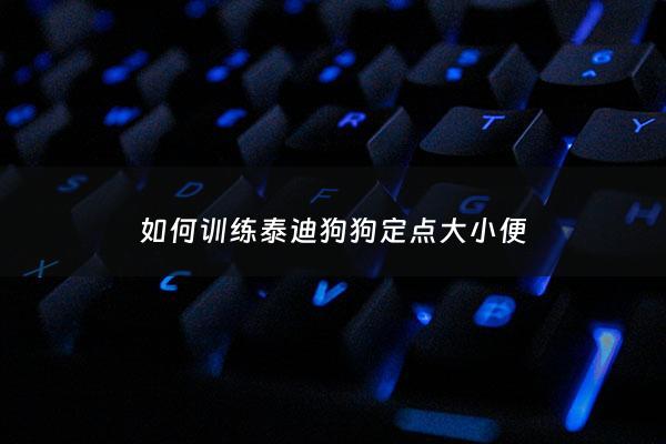 如何训练泰迪狗狗定点大小便 - 如何训练泰迪狗狗定点大小便***