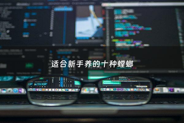适合新手养的十种螳螂 - 新手养螳螂养什么螳螂最好