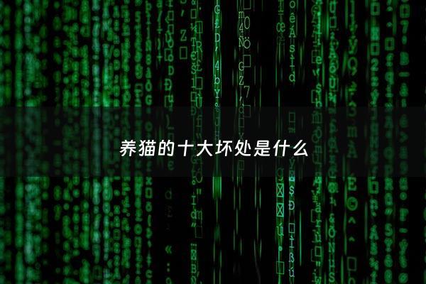 养猫的十大坏处是什么 - 养猫的坏处与好处