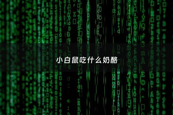 小白鼠吃什么奶酪 - 小白鼠吃什么饲料了
