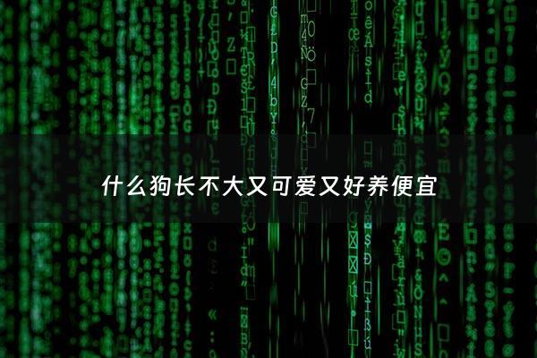 什么狗长不大又可爱又好养便宜 - 什么狗长不大适合家养