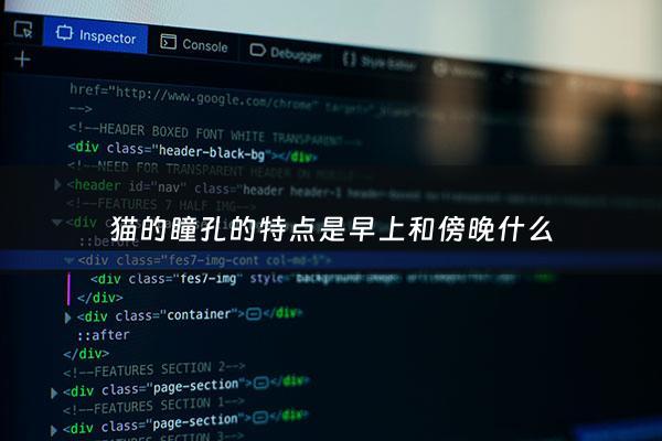 猫的瞳孔的特点是早上和傍晚什么 - 猫的瞳孔白天和晚上的变化
