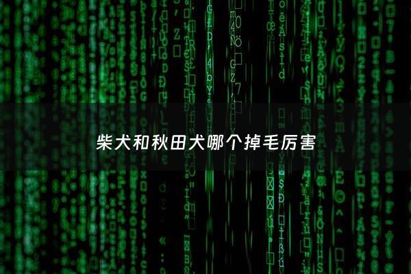 柴犬和秋田犬哪个掉毛厉害 - 柴犬和秋田犬哪个凶