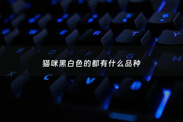 猫咪黑白色的都有什么品种 - 猫咪黑白图案