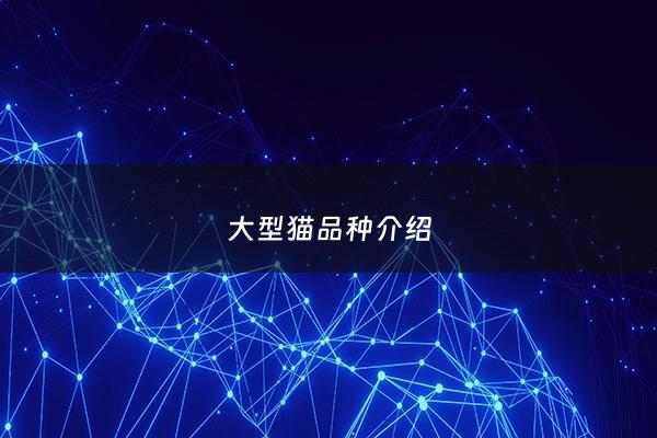 大型猫品种介绍 - 大型猫品种排名