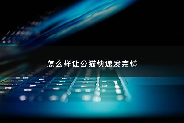 怎么样让公猫快速发完情 - 怎样促使公猫***