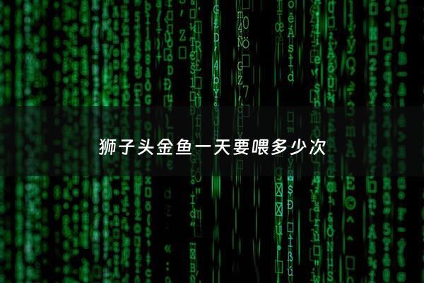 狮子头金鱼一天要喂多少次 - 狮子头金鱼一天要喂多少次食