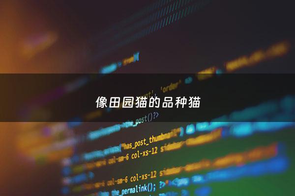 像田园猫的品种猫 - 像田园猫的品种猫是什么