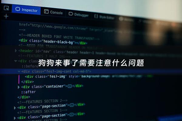 狗狗来事了需要注意什么问题 - 狗狗来事应该注意什么