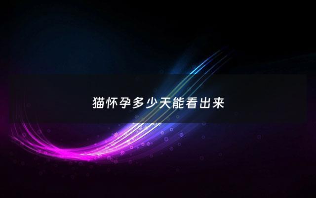 猫怀孕多少天能看出来 - 猫咪怀孕多久可以看的出来
