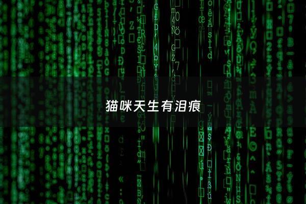 猫咪天生有泪痕 - 猫咪天生有泪痕吗