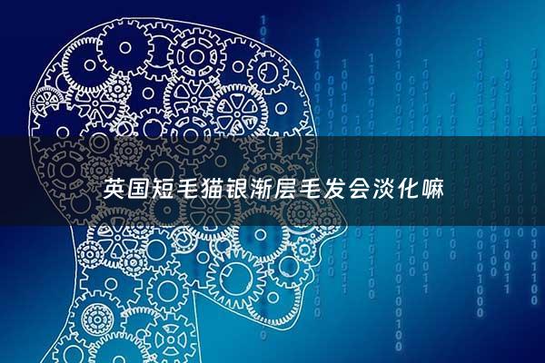英国短毛猫银渐层毛发会淡化嘛 - 英短银渐层能长到多大体型
