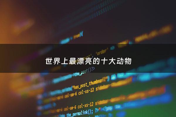 世界上最漂亮的十大动物 - 世界上最漂亮的动物长什么样