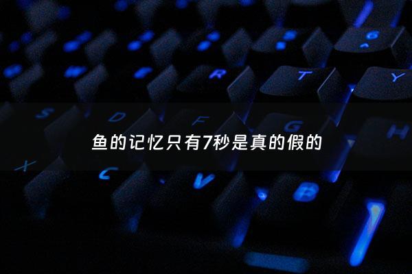 鱼的记忆只有7秒是真的假的 - 鱼的记忆真的只有7秒钟吗