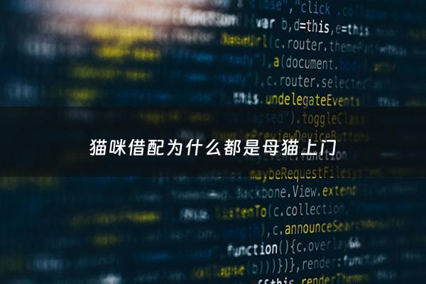 猫咪借配为什么都是母猫*** - 猫咪配种为什么是母猫***