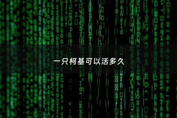 一只柯基可以活多久 - 一只柯基大概花***一只