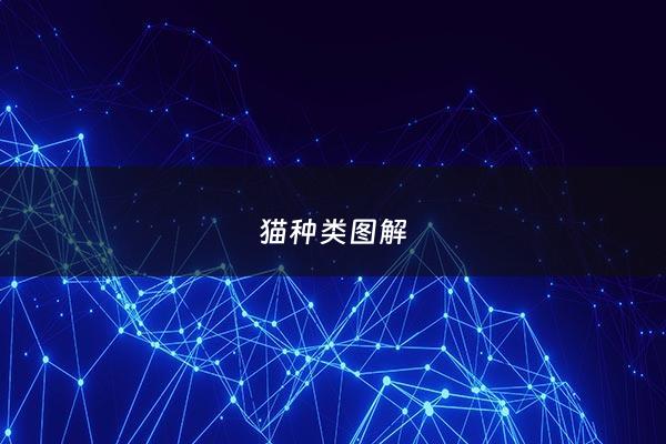猫种类图解 - 猫种类大全图片图解