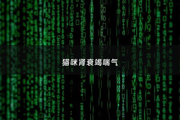 猫咪肾衰竭喘气 - 猫咪肾衰竭症状但是精神很好
