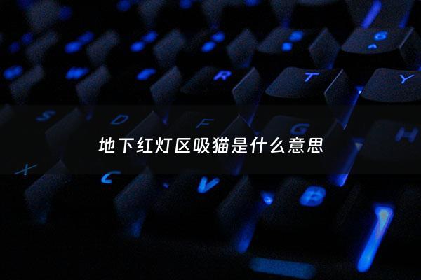 地下红灯区吸猫是什么意思 - 地下红灯有摄像头吗