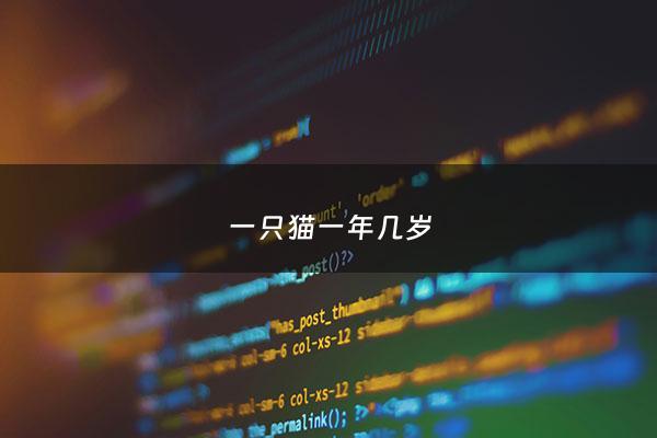 一只猫一年几岁 - 猫一年相当于多少岁为一岁