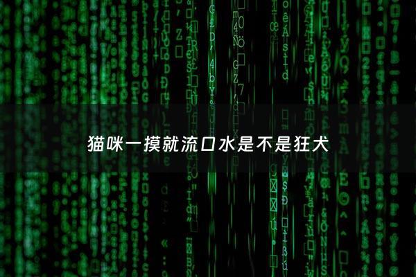猫咪一摸就流口水是不是狂犬 - 摸猫咪的时候它流口水