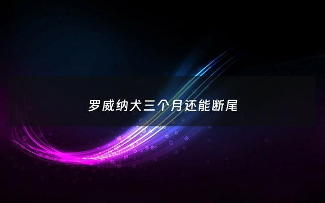 罗威纳犬三个月还能断尾 - 罗威纳犬 三个月