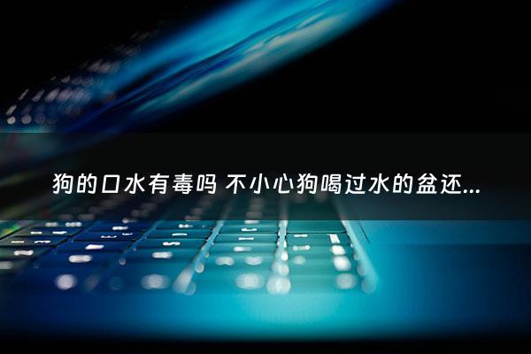 狗的口水有毒吗 不小心狗喝过水的盆还能用吗 - 如果狗的口水弄进嘴巴怎么办