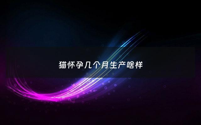 猫怀孕几个月生产啥样 - 猫怀孕几个月生小猫,多长时间能生?