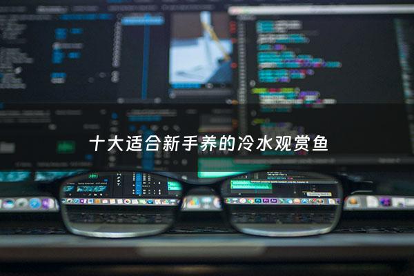 十大适合新手养的冷水观赏鱼 - 十大适合新手养的冷水观赏鱼有哪些
