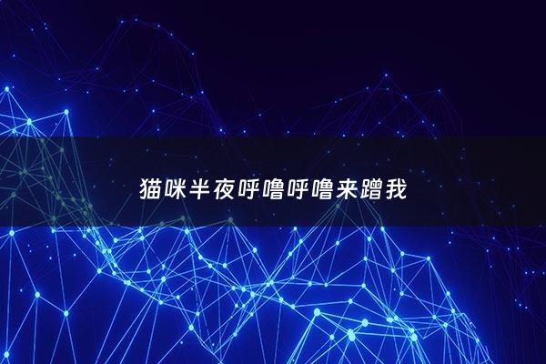 猫咪半夜呼噜呼噜来蹭我 - 猫咪半夜睡醒蹭人还呼噜
